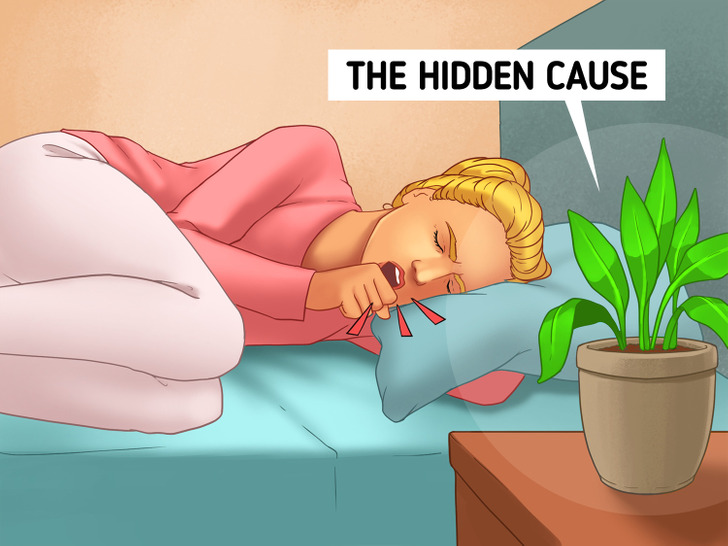 8 Unexpected Things That Can Ruin Our Sleep Cycle