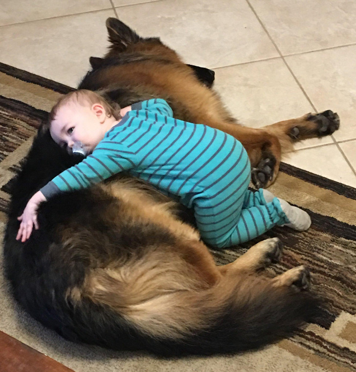 20+ Warm Photos That Prove Humans and Animals Are Meant to Be
